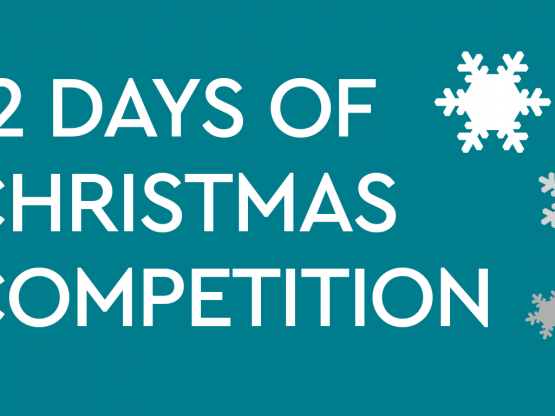 12 days of xmas