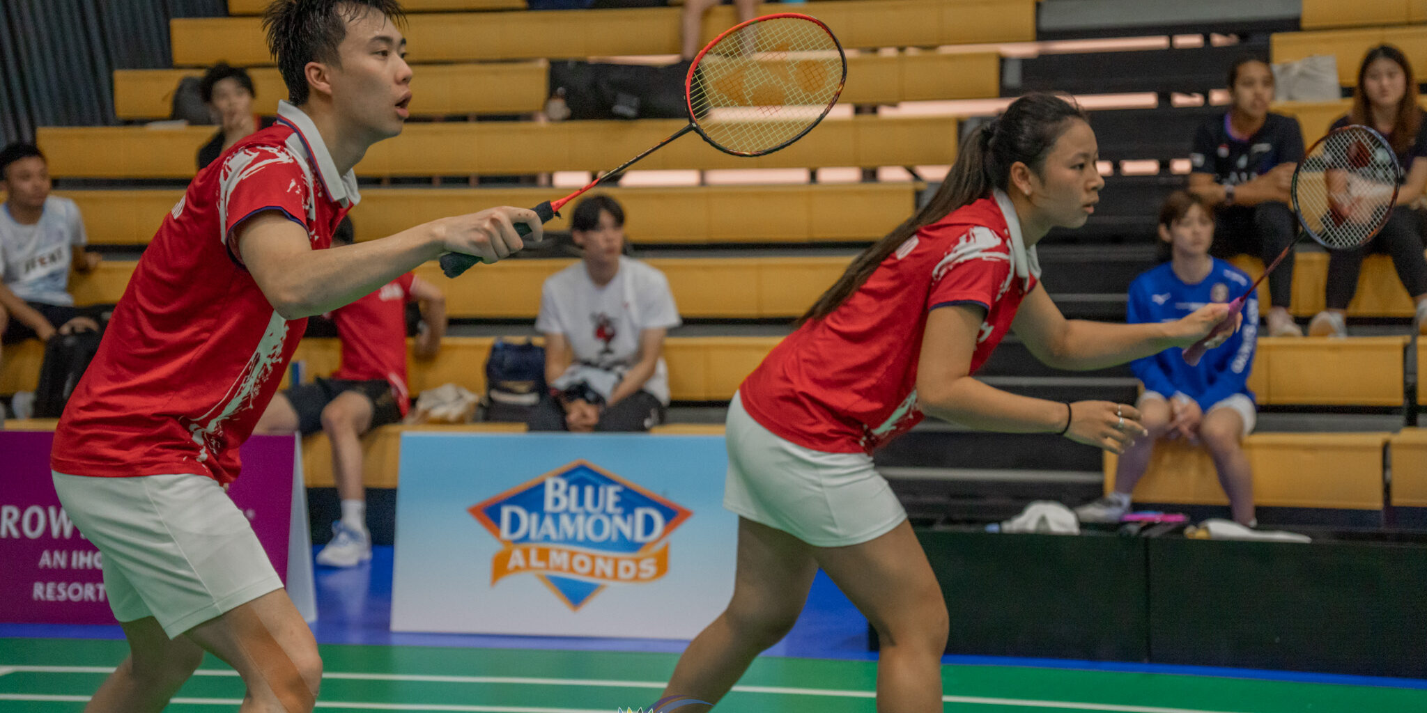 53838518444_2a5dd3bcd0_o